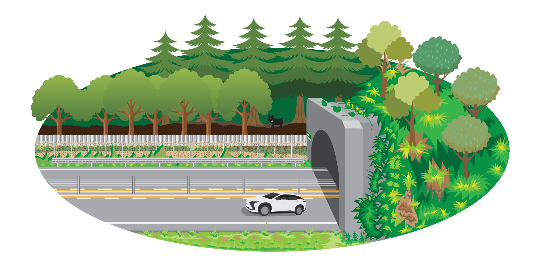 道路からのクマ侵入防止